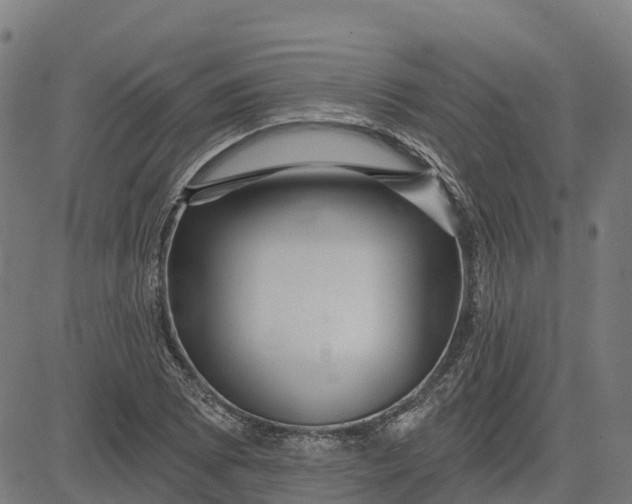 X0000084541073200703091648