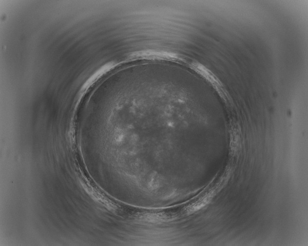 X0000084541074200703091648