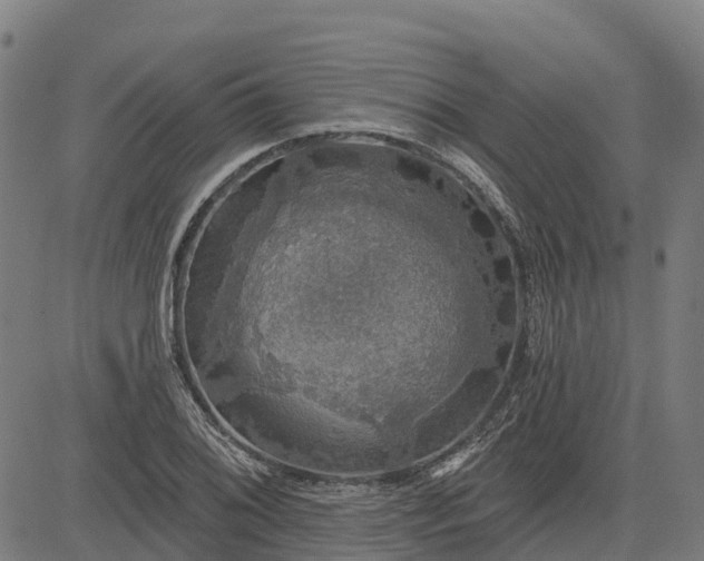 X0000084541076200703091648