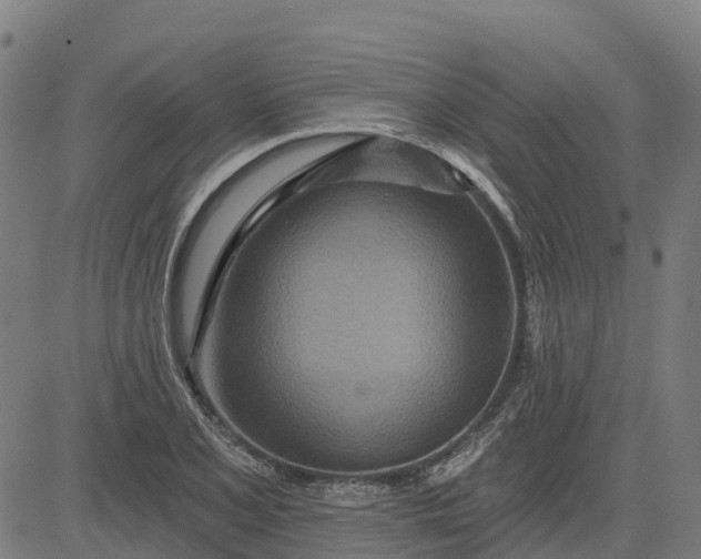 X0000084541077200703091648