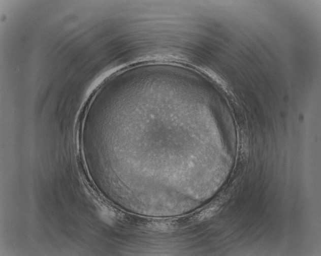 X0000084541078200703091648