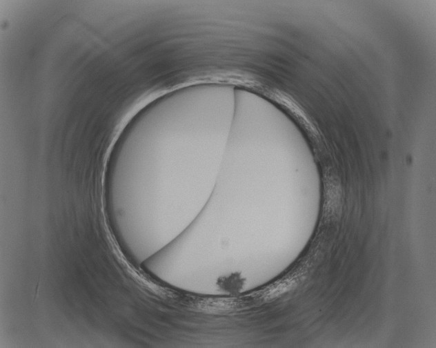 X0000084541079200703091648