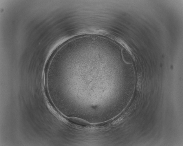 X0000084541080200703091648