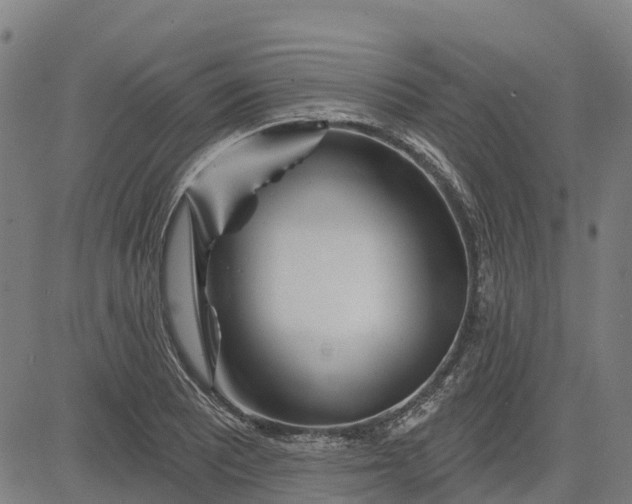 X0000084541081200703091647