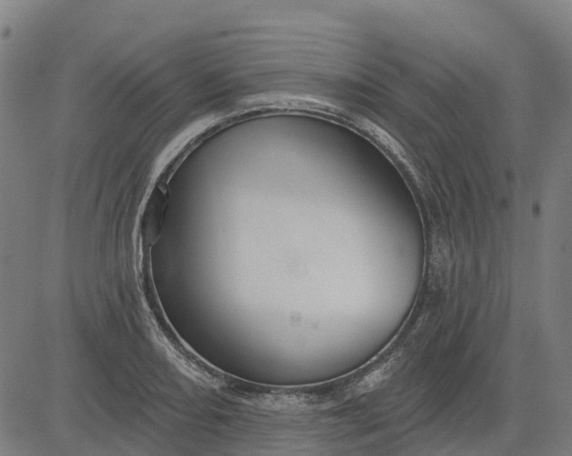 X0000084541082200703091647