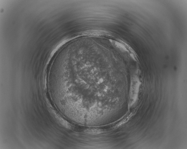 X0000084541083200703091647