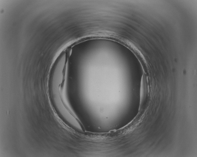 X0000084541085200703091647