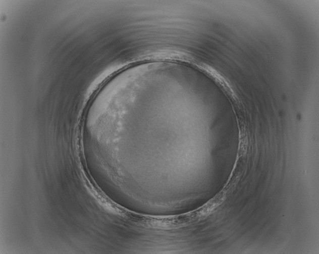 X0000084541086200703091647