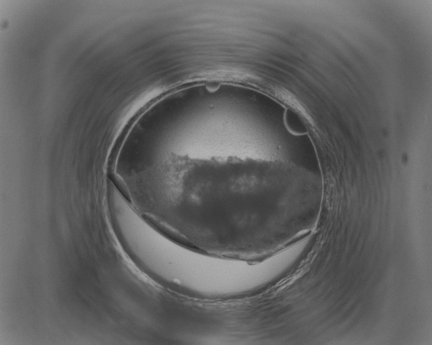 X0000084541087200703091647