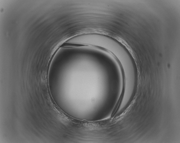 X0000084541089200703091647