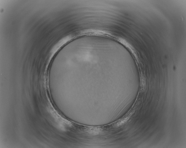 X0000084541090200703091647