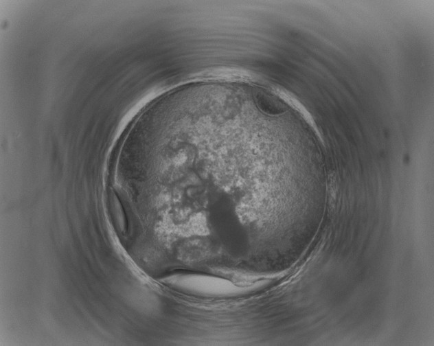 X0000084541091200703091647