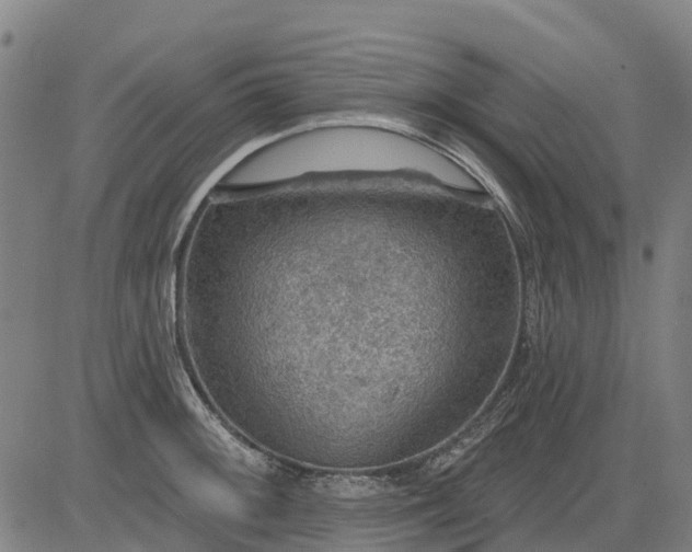 X0000084541092200703091647