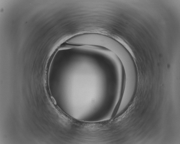 X0000084541093200703091647