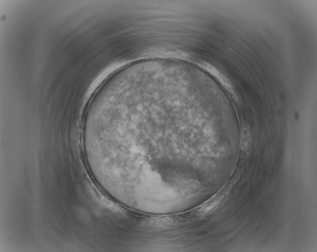 X0000084541094200703091647