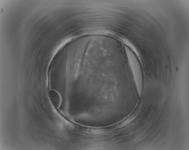 X0000084541095200703091647