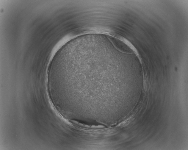 X0000084541096200703091647