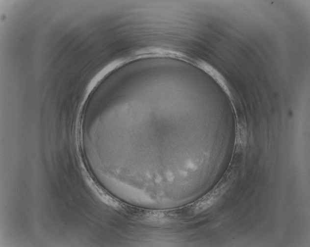 X0000084541098200703091647