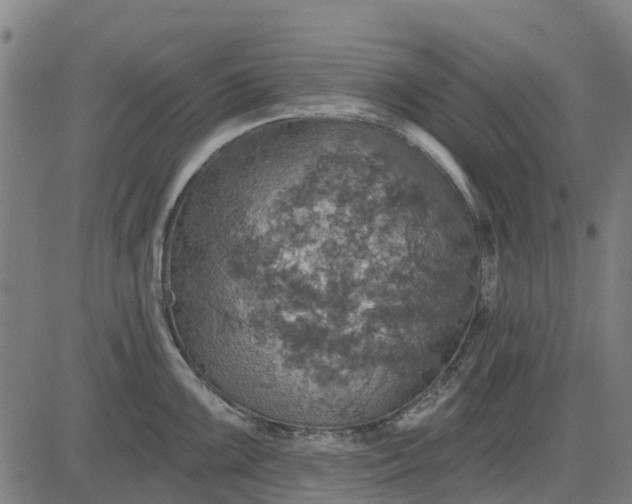 X0000084541099200703091647