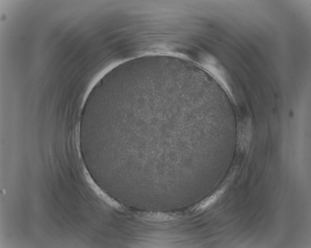 X0000084541100200703091647