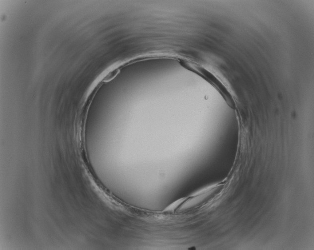 X0000084541101200703091647