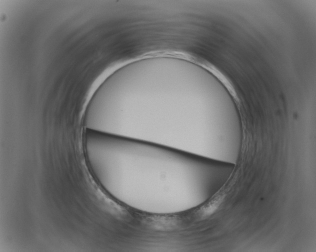 X0000084541102200703091647