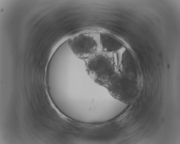 X0000084541103200703091647