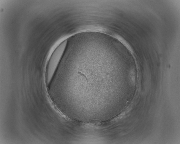 X0000084541104200703091647