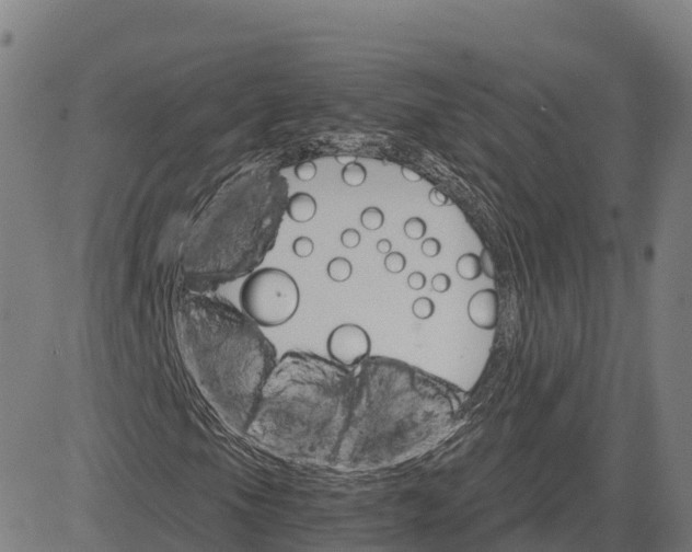 X0000084541105200703091646