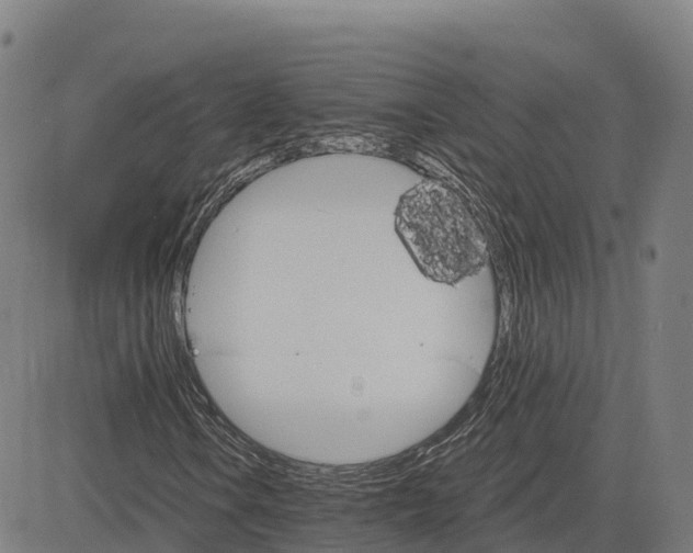 X0000084541106200703091646