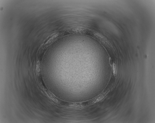 X0000084541107200703091646