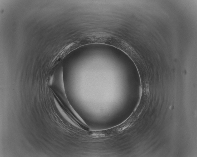 X0000084541108200703091646