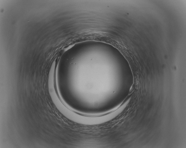 X0000084541109200703091646