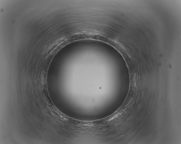 X0000084541110200703091646