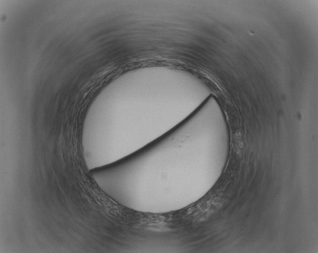 X0000084541111200703091646