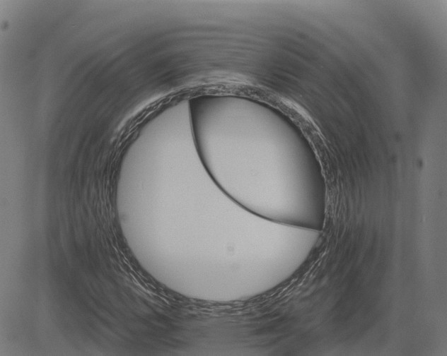 X0000084541112200703091646