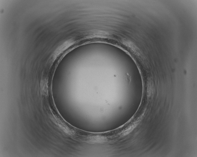 X0000084541113200703091646