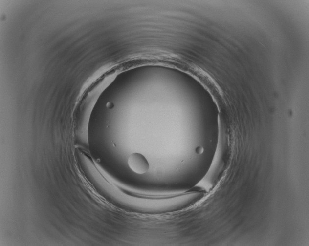 X0000084541114200703091646