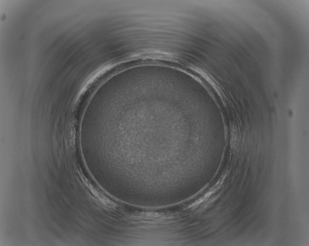 X0000084541115200703091646