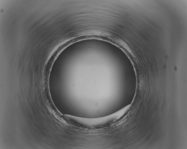 X0000084541116200703091646