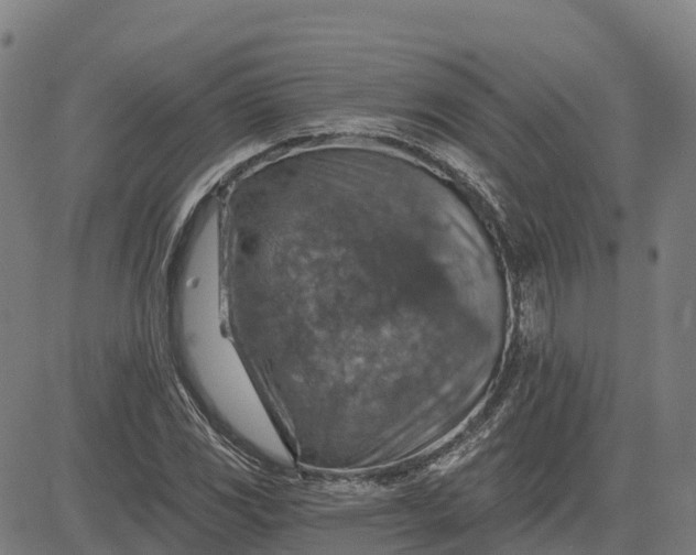 X0000084541117200703091647