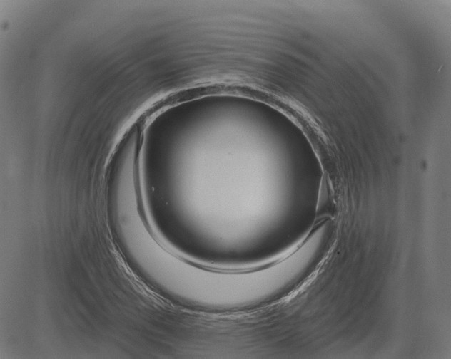 X0000084541118200703091647