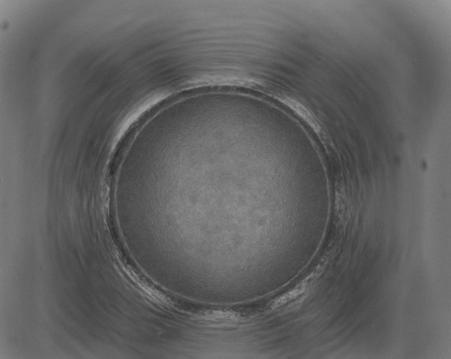 X0000084541119200703091647