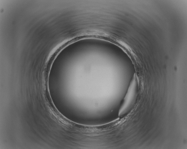 X0000084541120200703091647