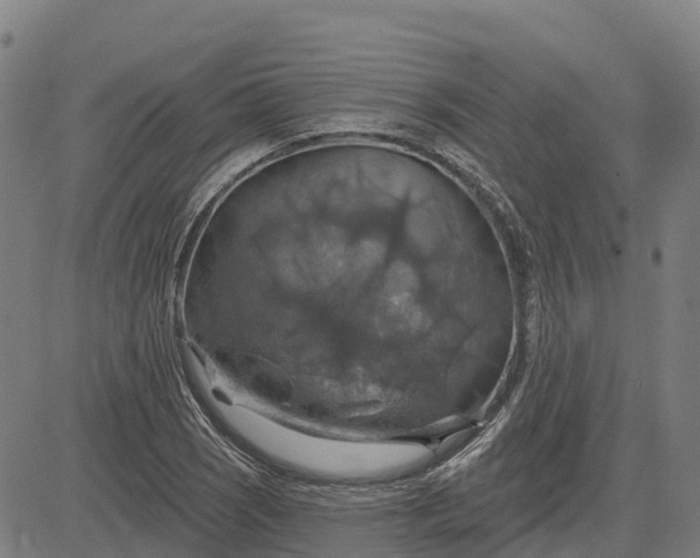 X0000084541121200703091647