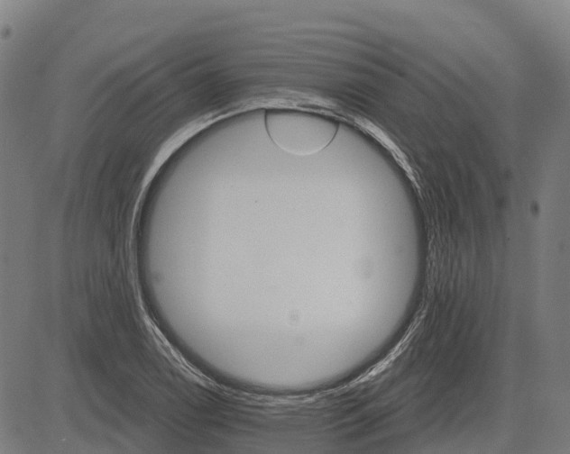 X0000084541122200703091647