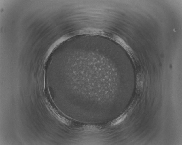 X0000084541123200703091647