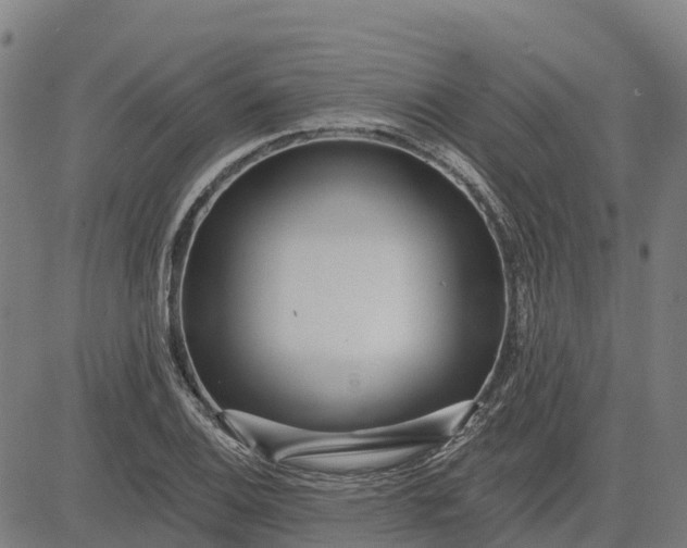 X0000084541124200703091647