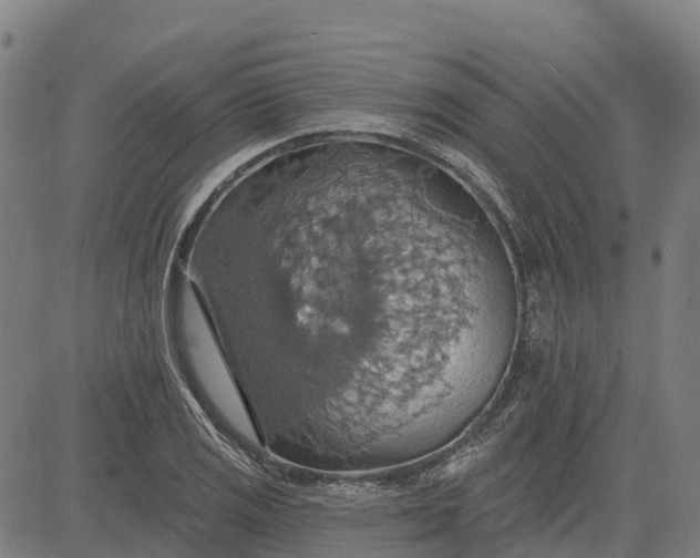 X0000084541125200703091647