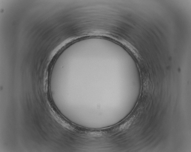 X0000084541126200703091647